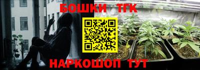 jwh Бердск