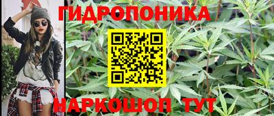 jwh Бердск