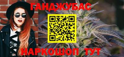 jwh Бердск