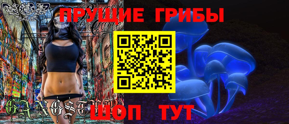 Когалым  Псилоцибиновые грибы Cubensis  Вход с VPN 